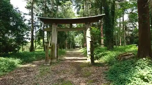 楯縫神社の鳥居