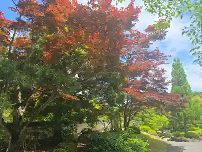 常照庵(滋賀県)