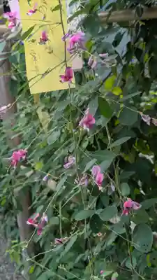 梨木神社(京都府)