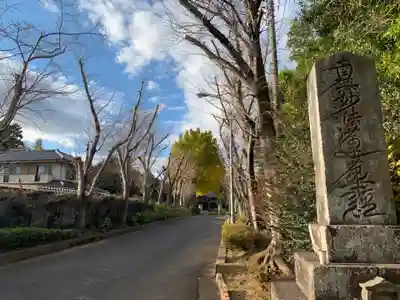 妙胤寺(千葉県)