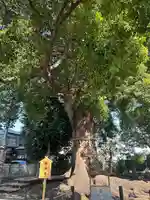 日々神社(神奈川県)