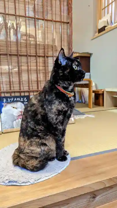 五十稲荷神社(栄寿稲荷神社)の動物