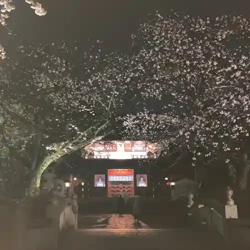 富士山本宮浅間大社(静岡県)