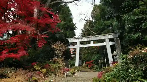 都々古別神社(馬場)の鳥居