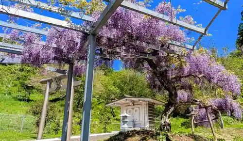 金蛇水神社(宮城県)