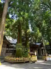 高千穂神社(宮崎県)