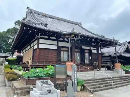 善導寺の本殿・本堂