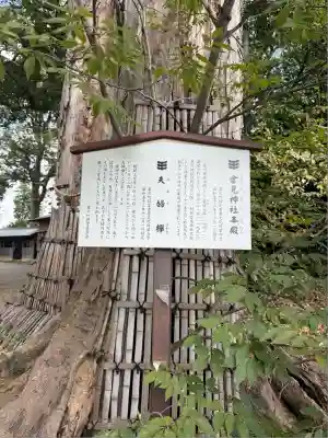 倉見神社(神奈川県)