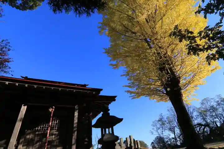 山神社の本殿・本堂