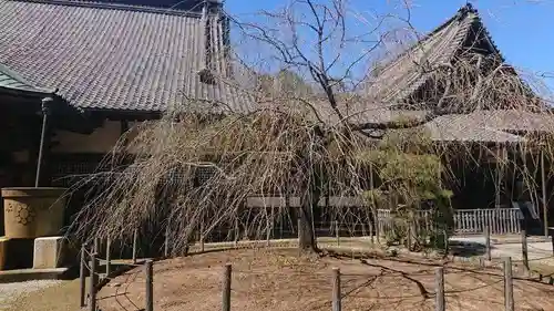 観福寺の庭園