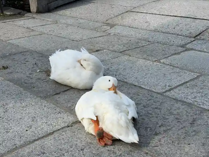 神泉苑(京都府)