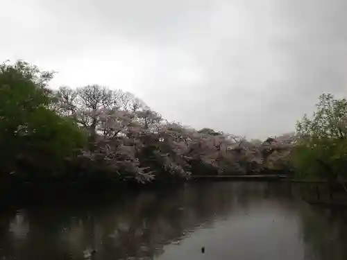 鶴岡八幡宮の庭園