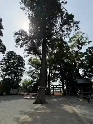 比々多神社(神奈川県)