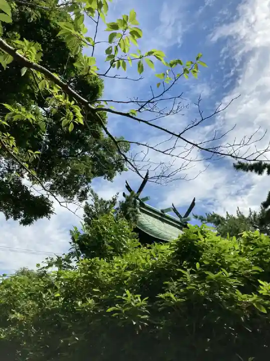 天王神社の本殿・本堂