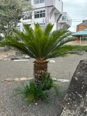 多田幸寺の自然
