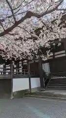 妙顯寺（妙顕寺）(京都府)