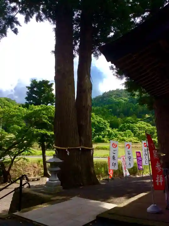 高司神社〜むすびの神の鎮まる社〜の自然