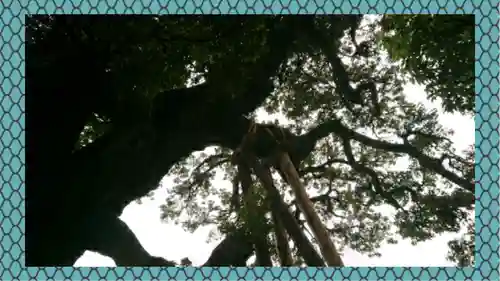 九重神社(埼玉県)