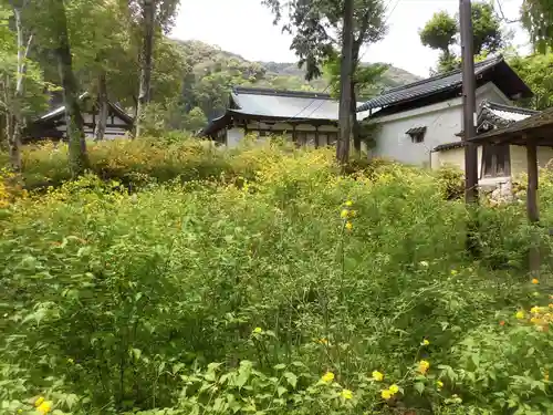 松尾大社の自然