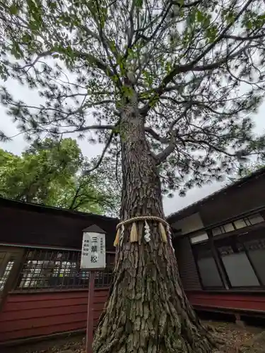 前原御嶽神社(千葉県)