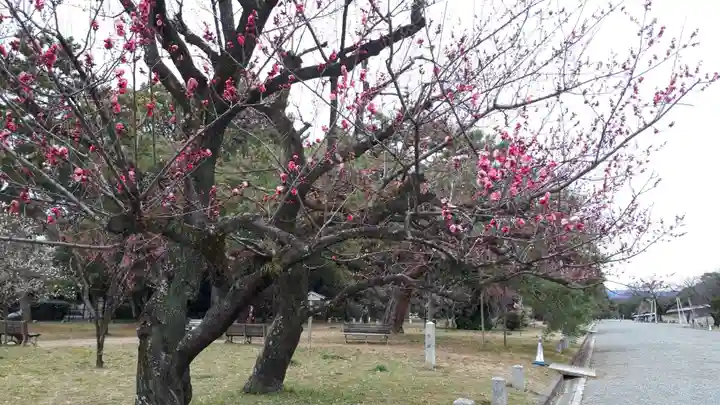 白雲神社(京都府)