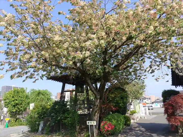妙建寺(栃木県)