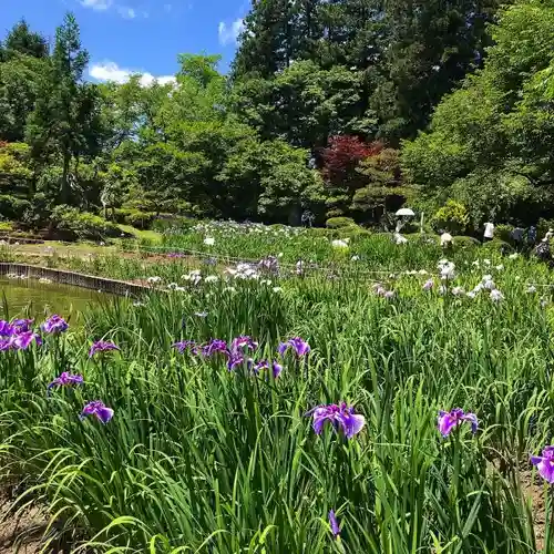 伊佐須美神社の庭園