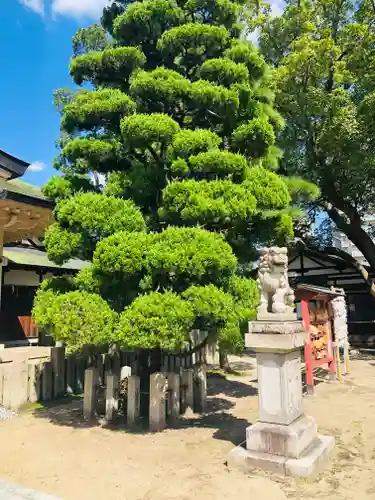 大江神社の自然