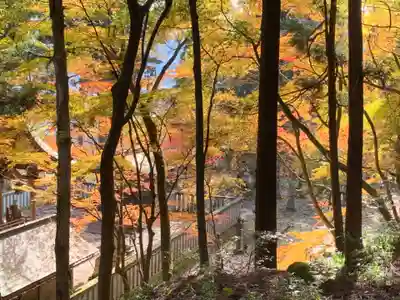 岡太神社(福井県)