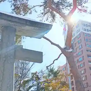 彌彦神社 (伊夜日子神社)の鳥居(2025年03月19日(水) 10時37分23秒投稿)