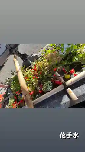 樽前山神社の御朱印