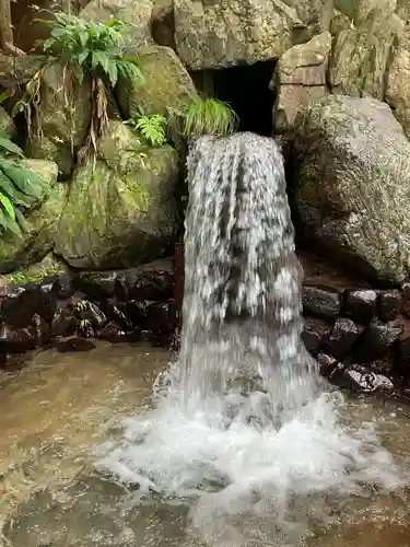 椿岸神社の自然