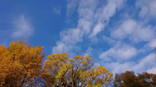玉敷神社の自然