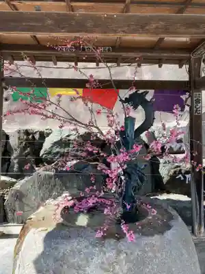 瀧不動尊の手水舎