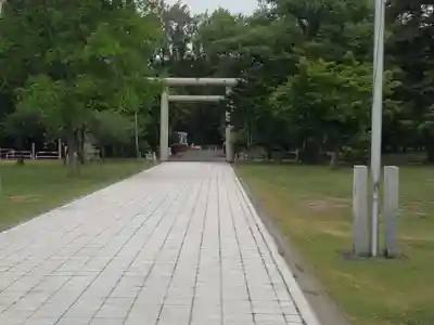 札幌護國神社の鳥居