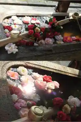 真正極楽寺(真如堂)の手水舎