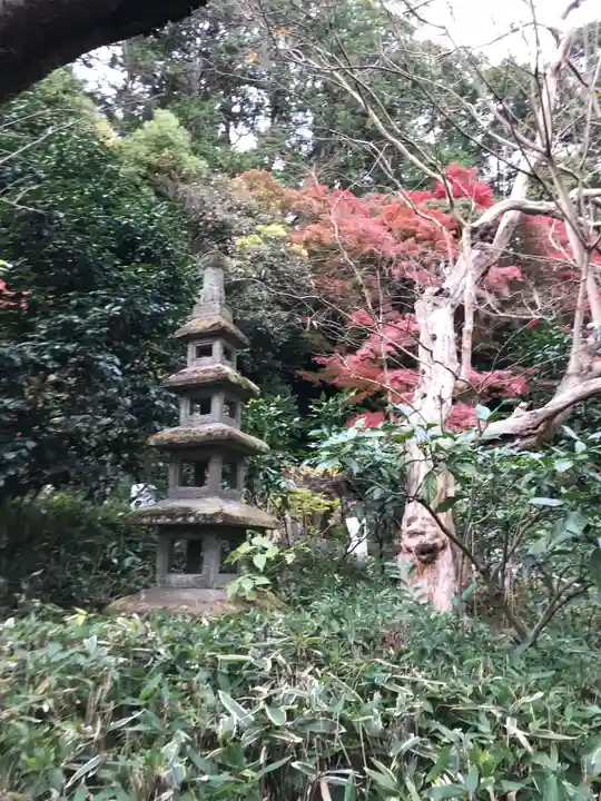 杉本寺の塔
