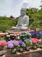 南法華寺(壷阪寺)(奈良県)
