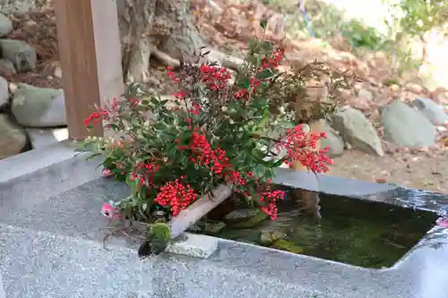 高司神社〜むすびの神の鎮まる社〜の手水