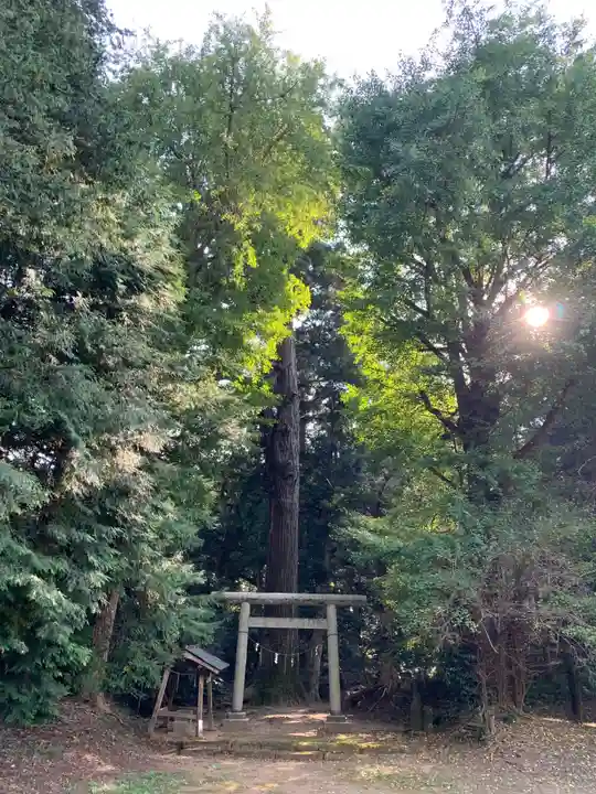 星宮神社(千葉県)