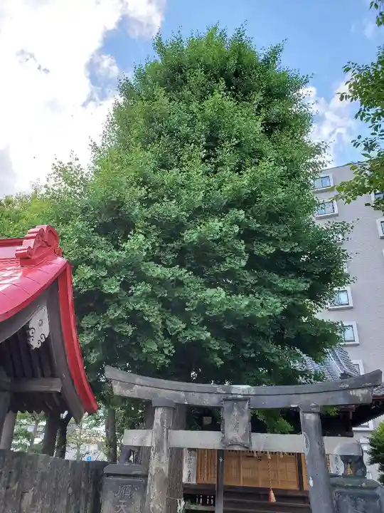 晴門田神社の景色