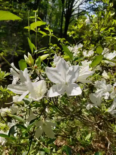 塩船観音寺の庭園