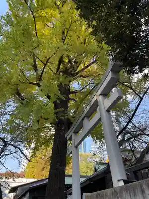 熊野神社(東京都)