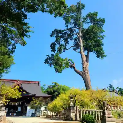 矢奈比賣神社（見付天神）(静岡県)