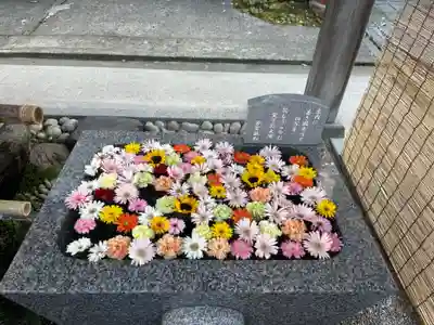 荘内神社(山形県)