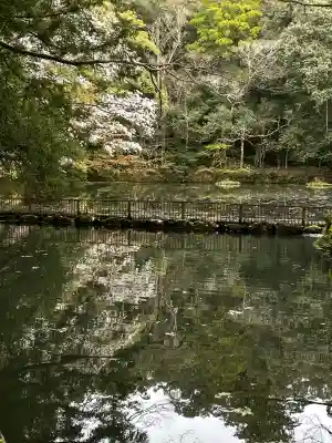 伊勢神宮内宮（皇大神宮）の{uncategorized: "未分類", other: "その他", undefined: "問題あり", building: "その他建物", grave: "お墓", sacred_gate: "鳥居", guardian: "狛犬", statue: "像", buddha: "仏像", history: "歴史", nature: "自然", garden: "庭園", animal: "動物", pagoda: "塔", temizu: "手水舎", mountain_gate: "山門・神門", sanctuary: "本殿・本堂", subordinate: "末社・摂社", art: "芸術", scenery: "景色", jizo: "地蔵", ema: "絵馬", goshuin: "御朱印", omikuji: "おみくじ", items: "授与品その他", amulet: "お守り", goshuincho: "御朱印帳", eats: "食事", festival: "お祭り", votive_dance: "神楽", shichigosan: "七五三参", wedding: "結婚式", experience: "体験その他", initially: "初詣", around: "周辺", anti_infection: "感染症対策"}