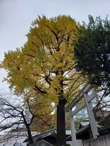 熊野神社(東京都)
