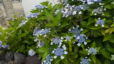 大松禅寺(京都府)