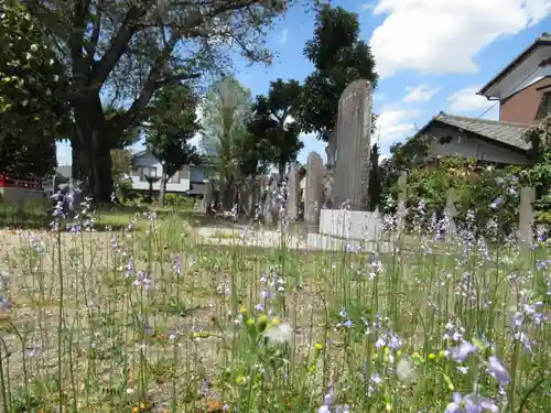香取神社(千葉県)