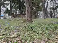 新十津川神社の自然